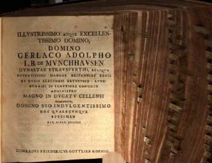 Diss. de abigeatu et furto equorum