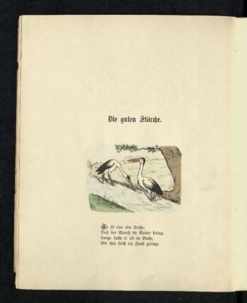 ¬Die¬ guten Störche : guten Störche