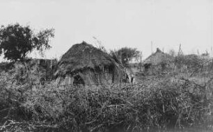 Eingeborenenhütten am Weißen Nil [Reise nach dem Sudan, Band 1]
