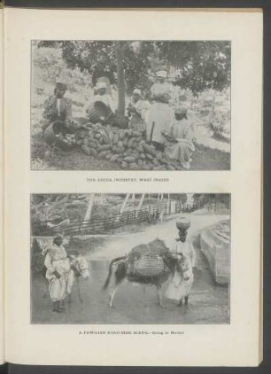 The cocoa industry, West Indies. [and] A familiar road-side scene. - [Photographs]