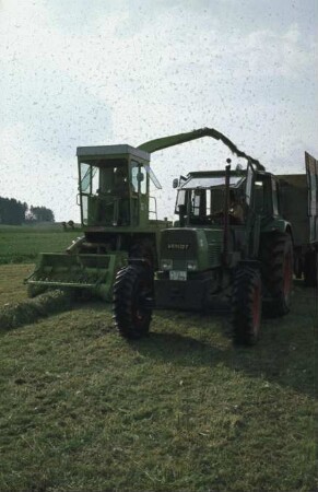 Fotografie: Futtererntetechnik, Grassilage, Feldhäcksler selbstfahrend, Parallelverfahren