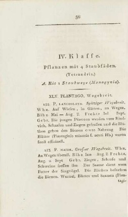 IV. Klasse. Pflanzen mit 4 Staubfäden