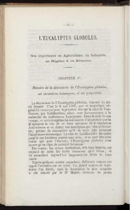 L'Eucalyptus Globulus.