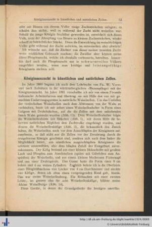 Königinnenzucht in künstlichen und natürlichen Zellen.