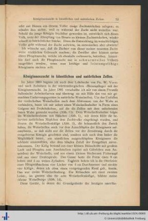 Königinnenzucht in künstlichen und natürlichen Zellen.