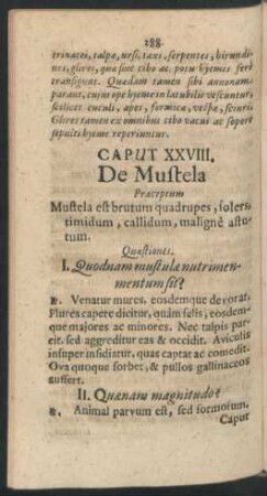 Caput XXVIII. De Mustela