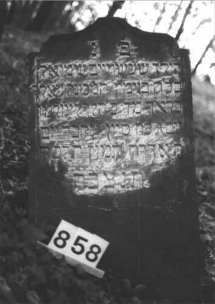 Grabstein 858 (Index: 99899290) Material: Sandstein Zustand: etwas angewittert Maße HxBxT: 94x53x10 cm Beschreibung: Stele mit Segmentbogenabschluss, von der Spitze herabhängende Blüte Symbolik: Blüte Besonderheit: Kindergrab: Grabstein 858
