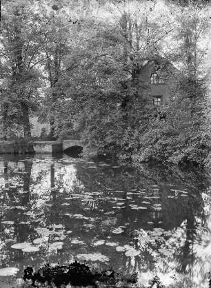 Seerosenteich