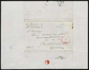 Brief 13