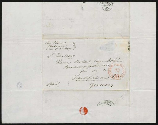Brief 13