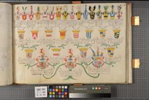 Proband: Heyden gen. Belderbusch, Caspar Anton von der; Vater: Heyden gen. Belderbusch, Maximilian Wilhelm von der; Mutter: Satzenhofen, Johanna Gräfin von: Westfalen, Hzgtm, Ritterschaft