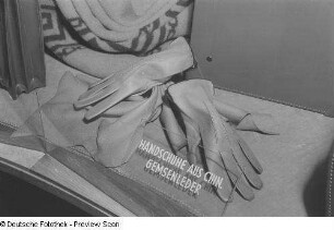 Handschuhe