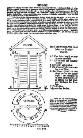 Profil und Grund-Riß eines steinernen Tauben-Hauses.