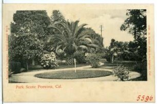 Park Scene Pomona, Cal.