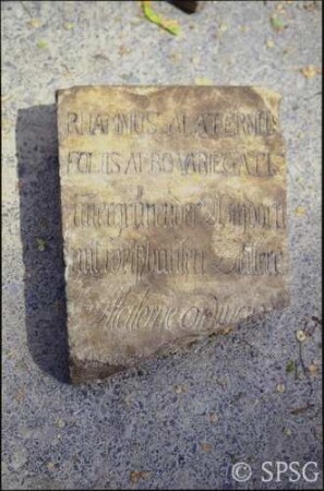 Potsdam, Park Sanssouci, Baumschule Sanssouci, gefundene Steinplatten mit Namen von Baumarten, Inschrift: Rhamnus alaternus (Stechpalmen-Kreuzdorn oder Immergrüner Kreuzdorn).