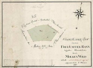 Geometrischer Plan über den im Freiaemter Bann liegenden herrschaftl. kleinen Molken-Wald