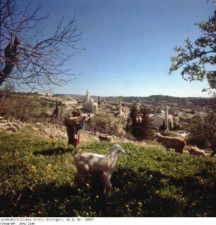 Israel: Bethanien