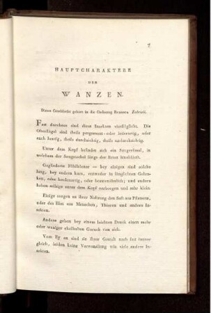 Hauptcharaktere der Wanzen. [Abb. siehe römische Paginierung]