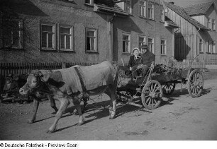 Älteres Paar auf einem Fuhrwerk sitzend