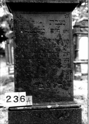 Grabstein 236 [Nir S. 166 Nr. 15.26]: Grabstein 236A [Nir S. 166 Nr. 15.26]