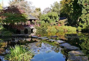 Lebendige Stille - Eine Betrachtung japanischer Gärten