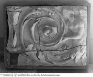Fragmente einer Marmor(?)-Dekoration mit florealen, vegetabilen und Grotesken-Motiven, Harpyie mit Akanthus-Blatt und Kandelaber