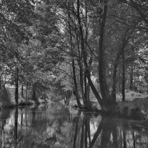 Fließgewässer im Spreewald. : Groble w Błótach.