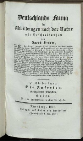Abth. 5, Bdch. 19: Deutschlands Fauna in Abbildungen nach der Natur mit Beschreibungen. Abth. 5. Deutschlands Insecten. Bdch. 19