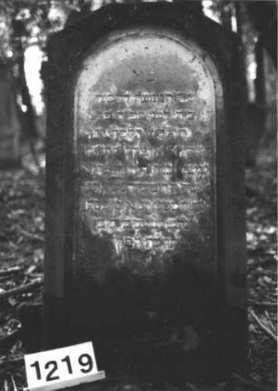Grabstein 1219 (Index: 99899995) Material: Sandstein Zustand: stark verwittert Maße HxBxT: 116x60x16 cm Beschreibung: Stele mit abgeflachtem Dreiecksabschluss: Grabstein 1219
