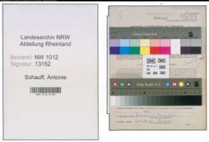 Entnazifizierung Antonie Schauff , geb. 10.12.1892 (Lehrerin)