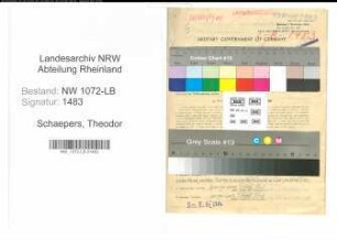 Entnazifizierung Theodor Schaepers , geb. 10.08.1913 (Polizist)
