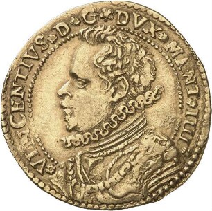 Mantua: Herzogtum