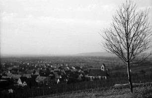 Haltingen: Blick vom Weinberg auf den Ort