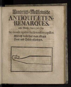 Cimbrisch-Hollsteinische Antiquitæten-Remarques. 28ste Woche/ den 11 Jul. 1719.