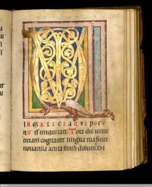 Rankeninitiale mit Drachen (Ps. 51)
