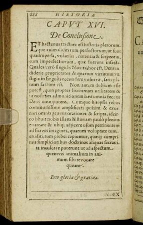 Caput XVI. De Conclusione.