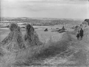 Heuhaufen auf einem Feld