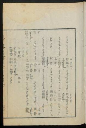 Niyalmai beye i hacin. ningguci = 人身類 第六