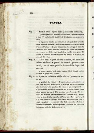 Tavola.