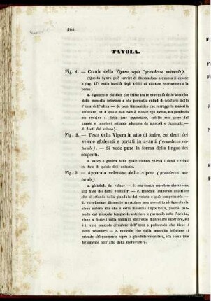 Tavola.
