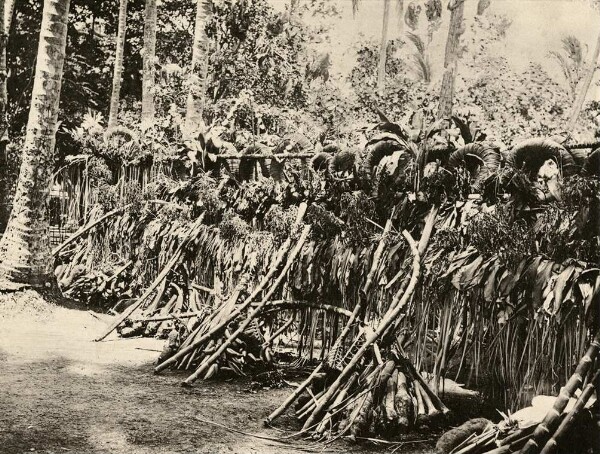 "Construction with Diwarra rings Lolvi at an ancestral festival."