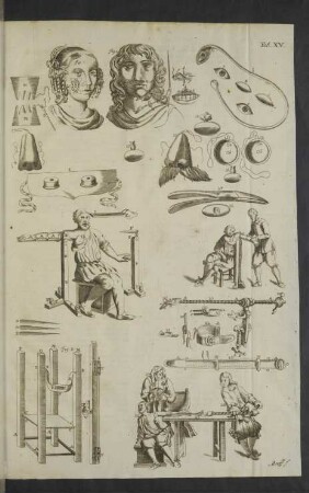 Tab. XV.