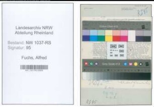 Entnazifizierung Alfred Fuchs , geb. 00.00.0000 (Stadtoberinspektor)