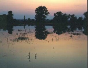 Hochwasser der Unstrut bei Sonnenuntergang