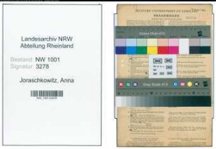 Entnazifizierung Anna Joraschkowitz, geb. 08.12.1900 (Kontoristin)