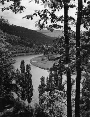Neckar bei Eberbach