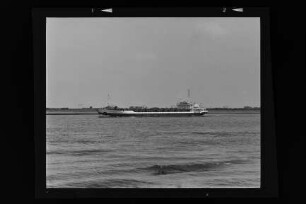 Canopus (1979), Frachtschiff, G. Rohden, Elsfleth, Bau-Nr. 400