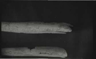 Tikal, Miscellaneous Text 38A (TIK: MT. 38A)