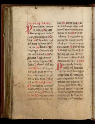Vigiliae maiores et minores