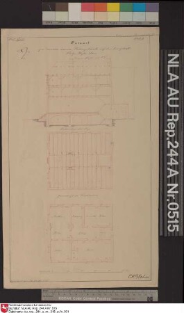 Profil, Balkenlage und Grundriß vom Kellergeschoß des Wohnhauses der Domäne Kloster Schoo bei SCHOO Kolorierte Zeichnung von H. Balke Papier Format 24,7x42,7 M 1:130